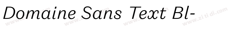Domaine Sans Text Bl字体转换